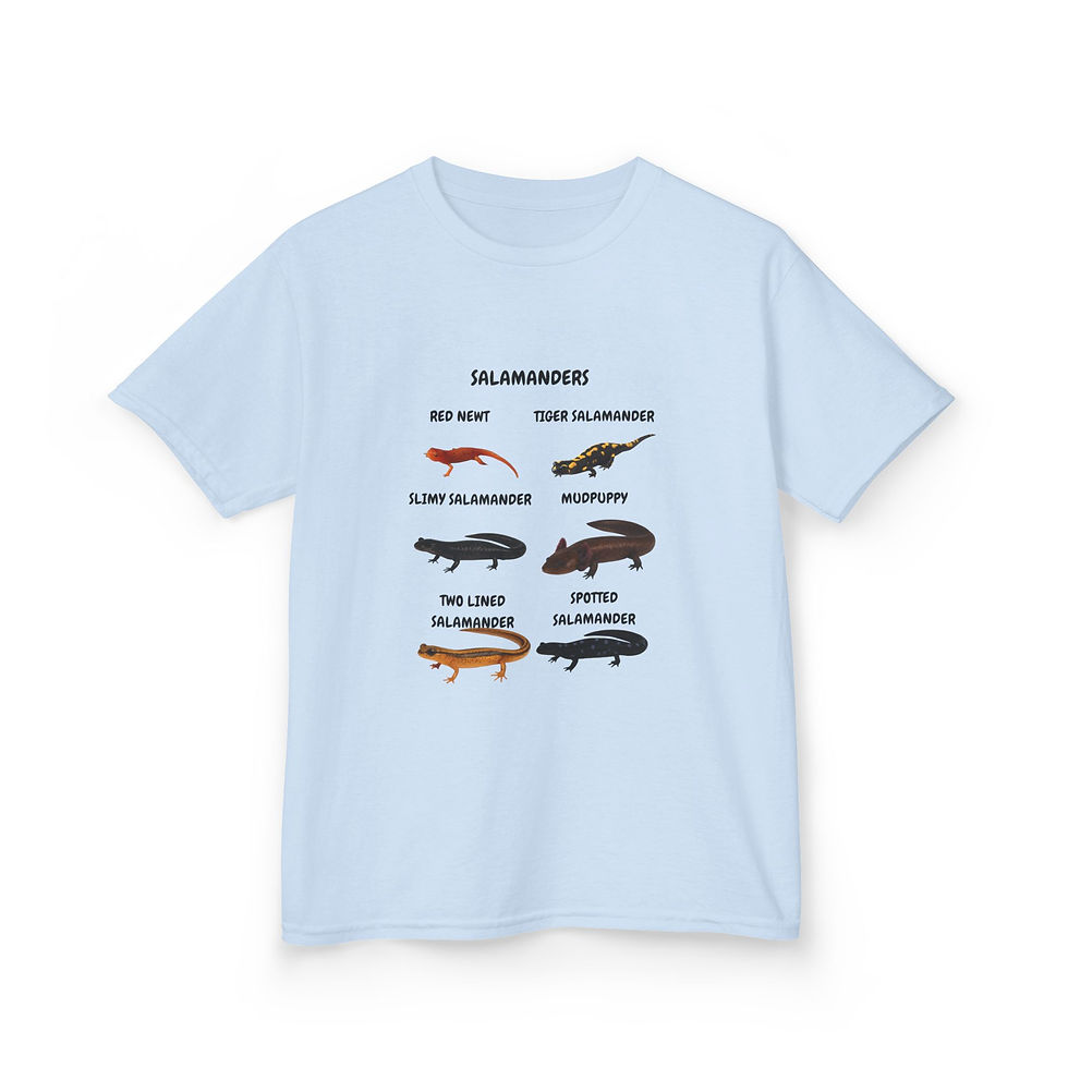 Thumbnail: Kids Salamanders Chart Tee - Cute Illustrated Amphibian Species Shirt
