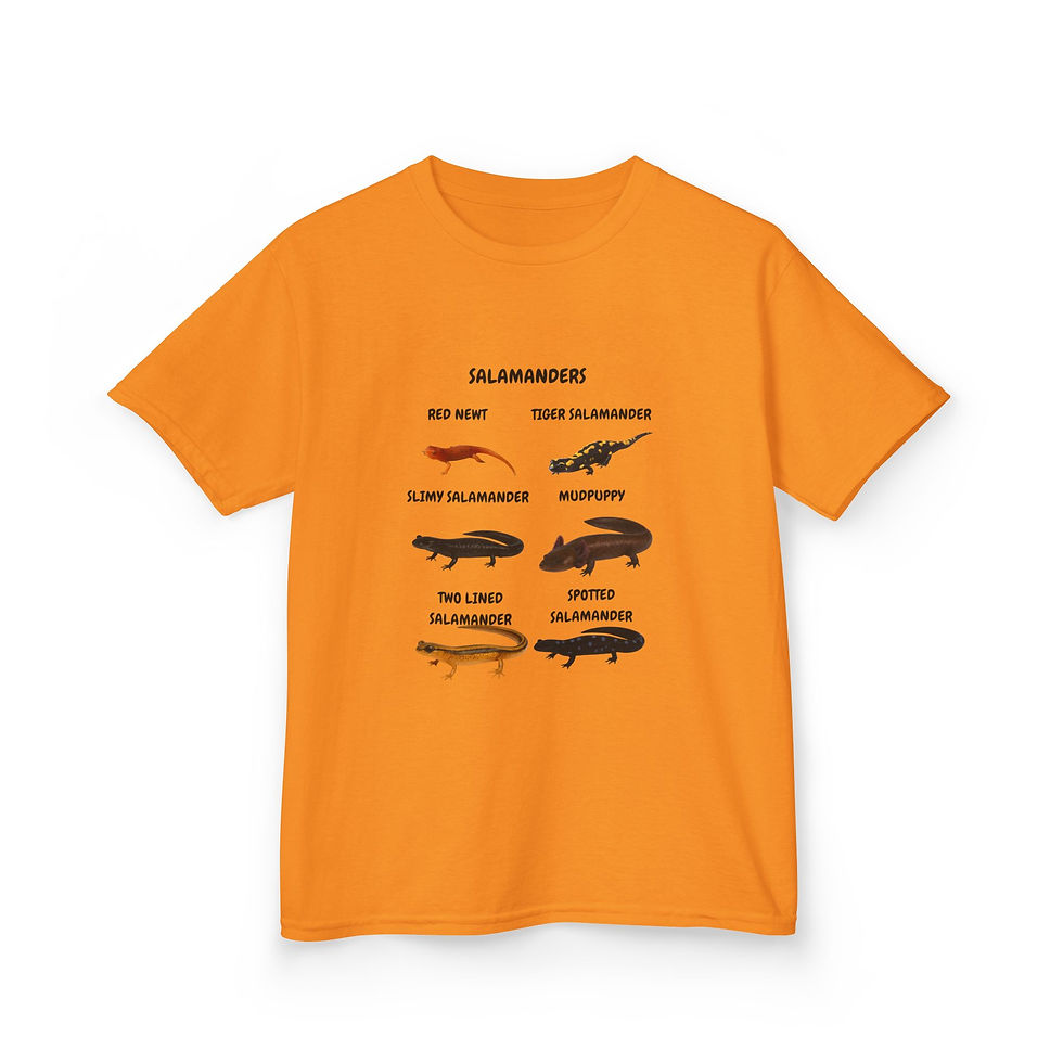 Thumbnail: Kids Salamanders Chart Tee - Cute Illustrated Amphibian Species Shirt