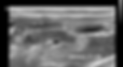 Screen Shot 2021-11-24 at 5.15.52 pm.png