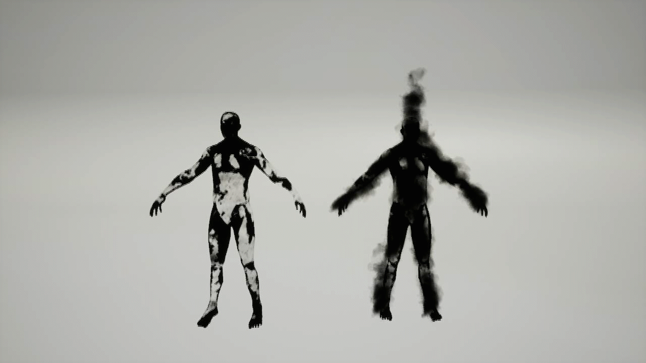 The Shadow
