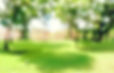 AdobeStock_125902907.jpeg
