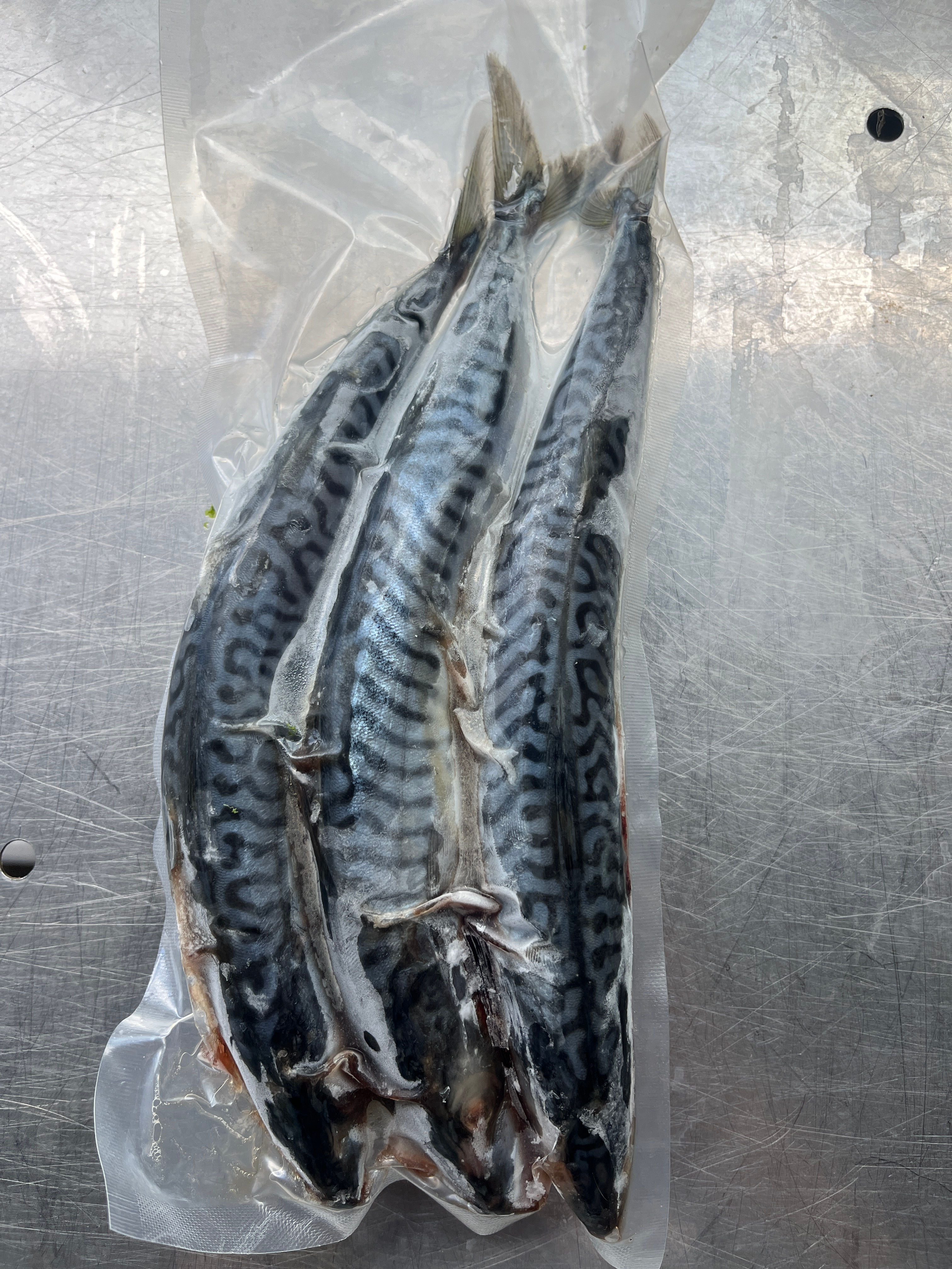 Block frozen mackerel 3s