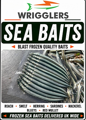 Frozen Sea Baits Online Shop