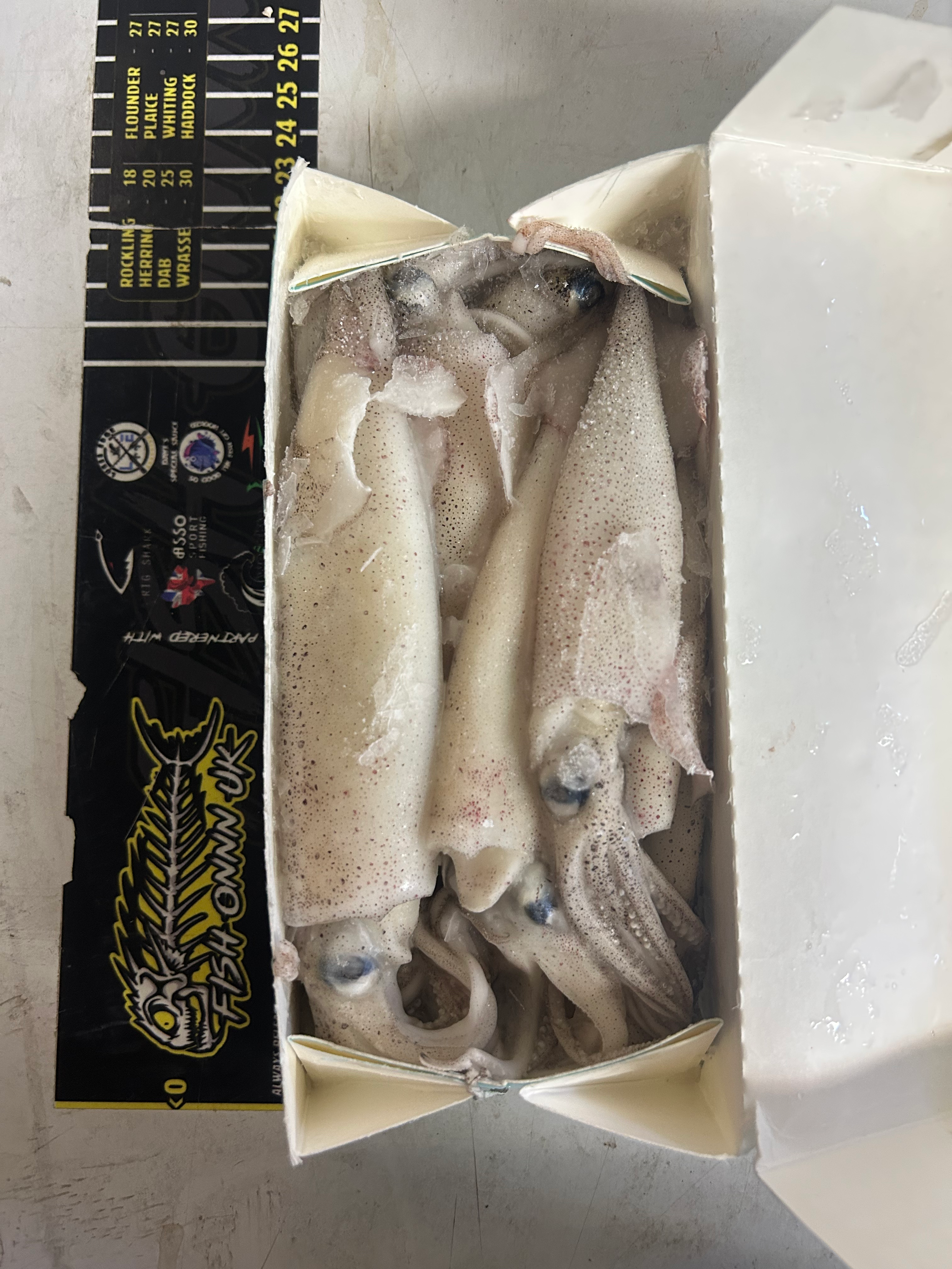 Ocean angel 1lb calamari washed squid