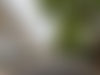 Kensington Palace Gardens: Where Architectural Prestige Meets Timeless Elegance