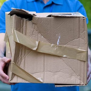 The Cardboard Box Index - les infos de la quinzaine du 31/10/2022