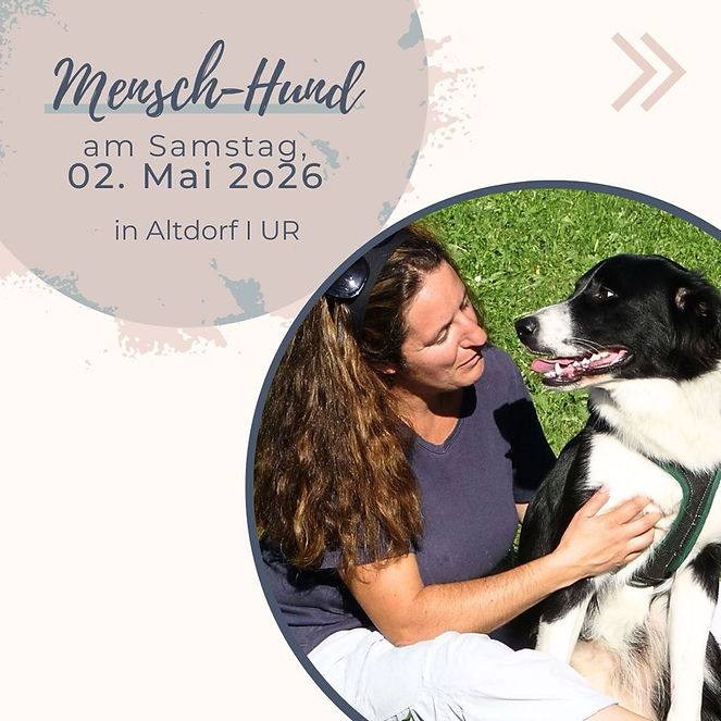 WhatsApp Image 2026-02-04 at 13.40.03 (1).jpeg