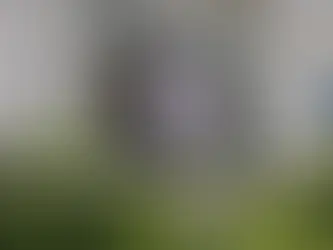 polis disiplin cezası iptali