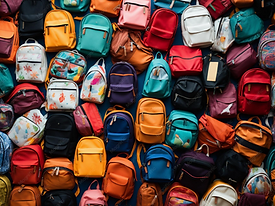 BAGS 4.png