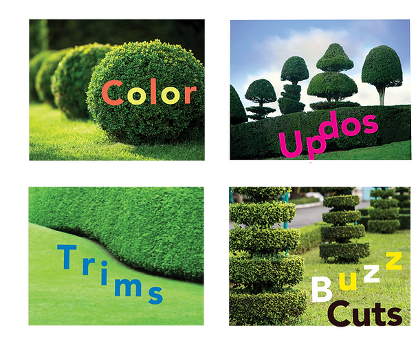 Talbotlayouts.png