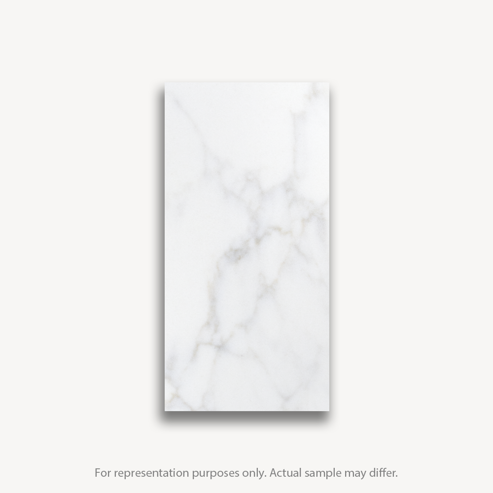 MAGNIFICENCE 4" x 8" Sample