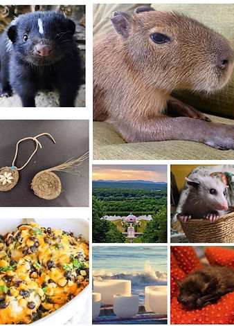June 2026 newsletter collage.jpg