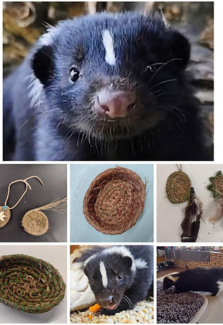 Weaving with a Skunk collage for August 2026.jpg