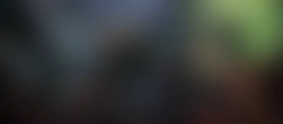 Various characters from the video game Warhammer 40,000: Rogue Trader