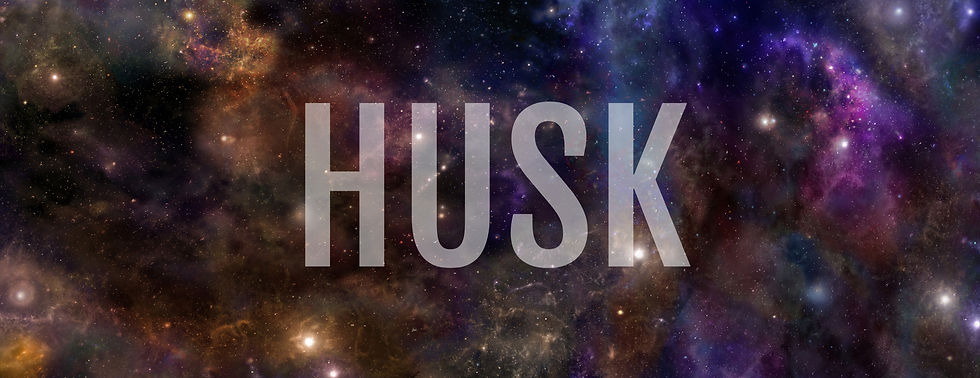A banner for a new book series titled "HUSK."