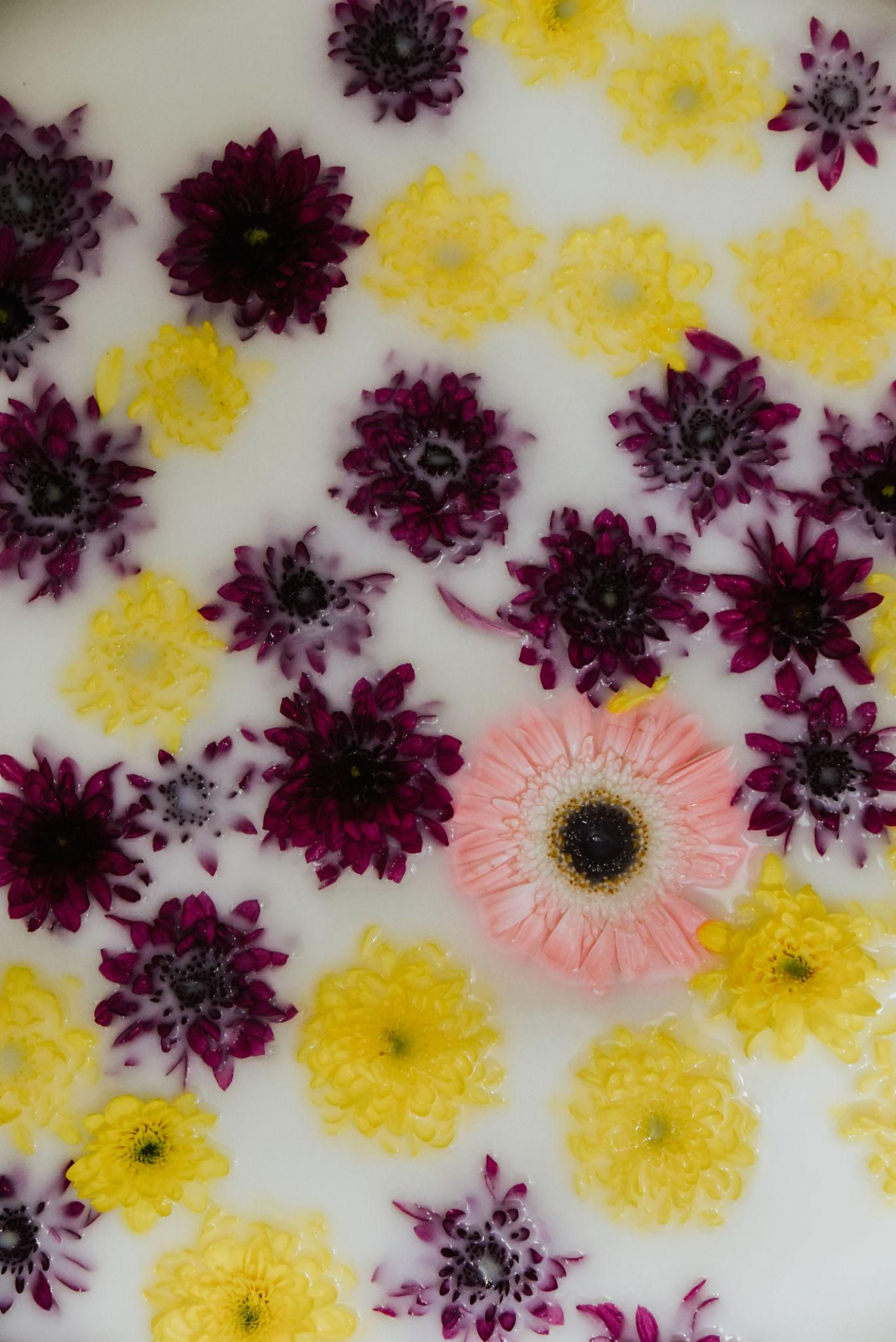 Séduire Silk Milk Bath Collection