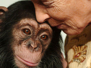 JANE GOODALL