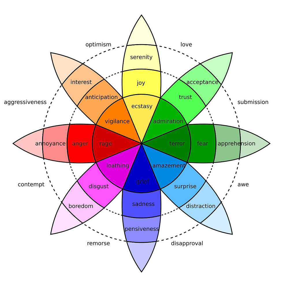 The Spectrum of Emotions: Understanding Yourself Through Plutchik’s Wheel