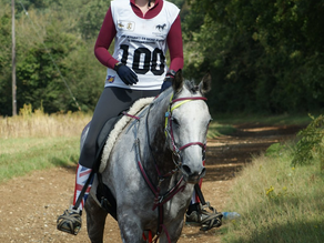 2025 season planning