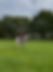 Horse rider on a grey horse in a grassy field, trees in background. Overcast sky, cone markers visible. Calm atmosphere.