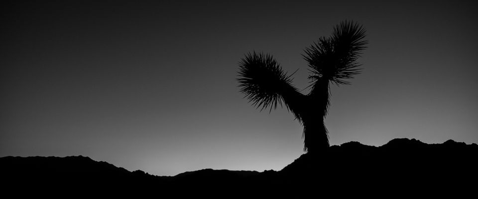 P2390451-2.jpg