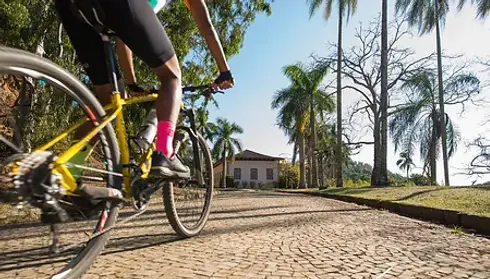 VASSOURAS FAZENDA CACHOEIRA GRANDE 11.webp