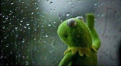 Kermit Gazing Out The Window Into The Rain