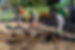 Park Help.jpg