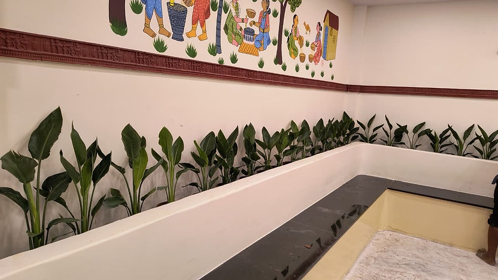 Indoor Plants