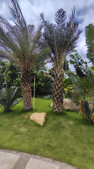 12e33394-7d48-4b77-9d4f-cf2a67a9d72f