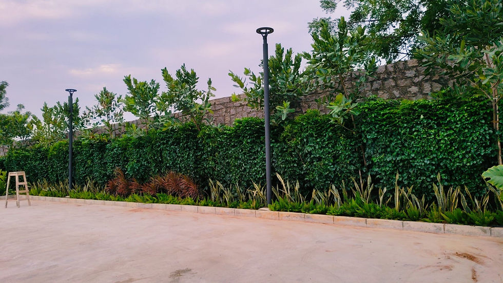 Home Garden