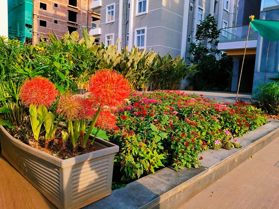 home garden