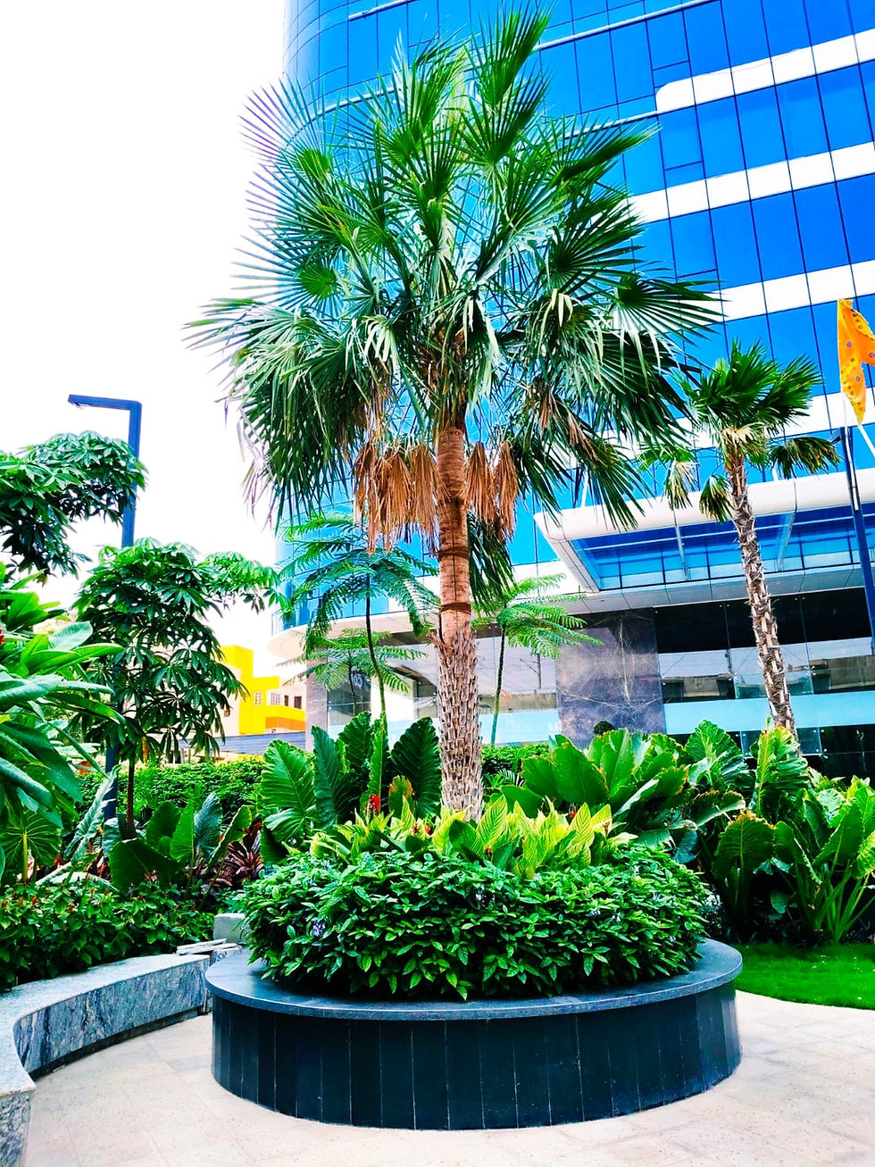 Home Garden