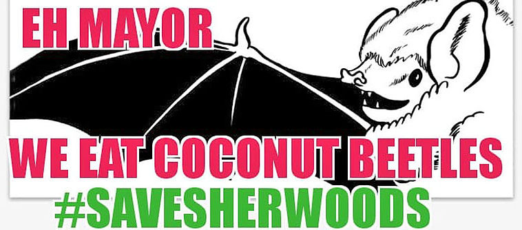 cartoon 8 - Copy.jpg