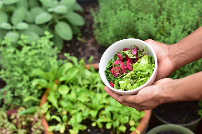 Grow your own organic food container gardening_edited.jpg