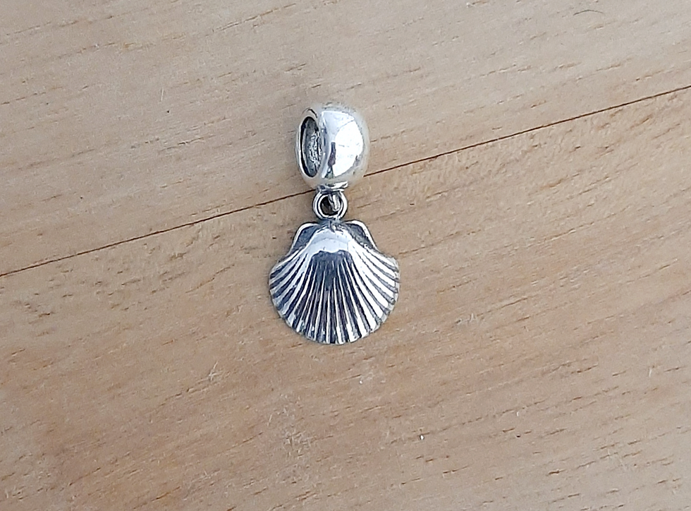 Miniatura: Berloque concha