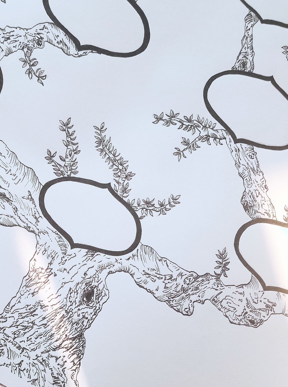 Thumbnail: 4 Generation Hand-drawn Family Tree