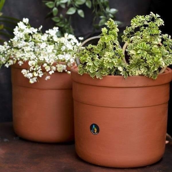 JAR PLANTER SET OF 2