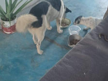 received_5291891654233678.jpeg