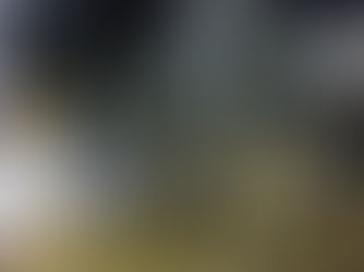 舊區重建- 中環街市(包浩斯建築篇)