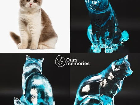 Ours memories Custom Selection – Custom British Shorthair Crystal Cat