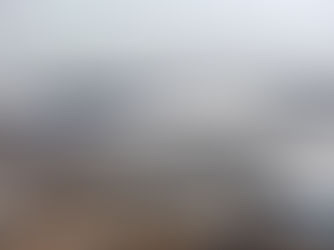 北有鳥巢,南有春繭