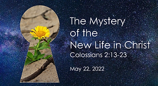 Colossians Sermon Series
