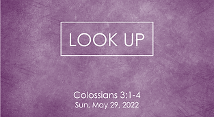 Colossians Sermon Series