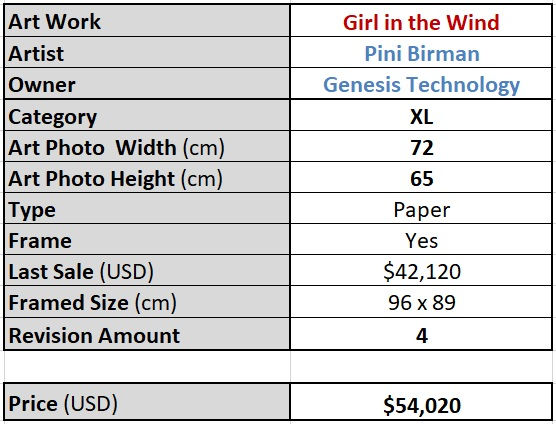 Girl in the Wind Details.jpg