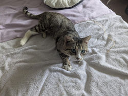 PHOTO-2025-05-29-16-12-05