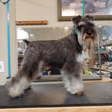 2022-02-23 14.52.02.jpg