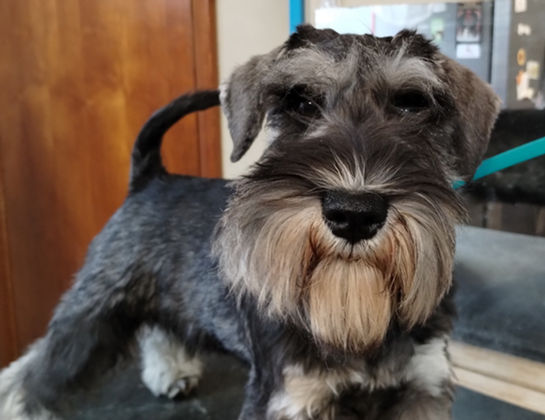 2023-03-09 10.32_edited.jpg