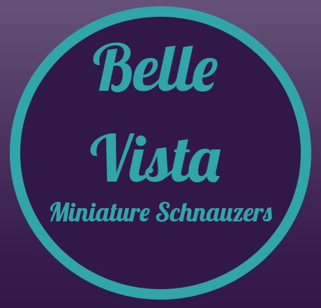Belle Vista Schnauzers logo
