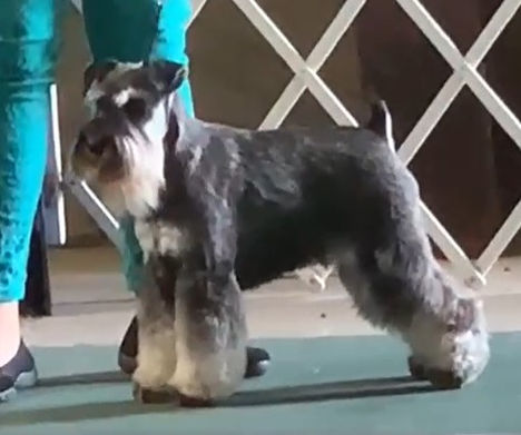 Screenshot 2022-05-22 190254.jpg